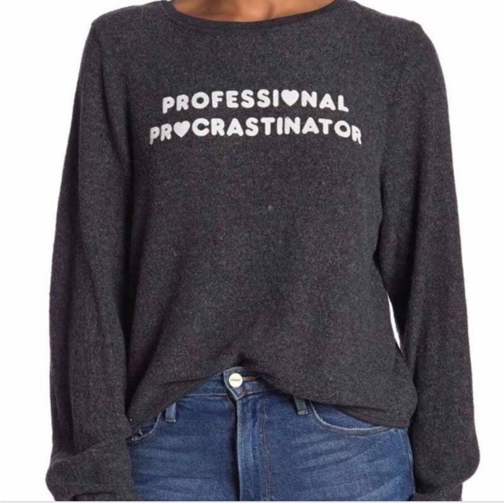 Wildfox Professional Procrastinator Jumper Sweatshirt Grey Size S